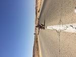     
: IMG_0164.jpg
: 56
:	149.6 
ID:	12207891