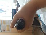     
: 20170806_125918.jpg
: 21
:	69.9 
ID:	12209437