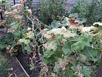     
: 20170806_191057.jpg
: 4
:	241.5 
ID:	12209465