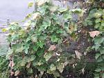     
: 20170806_191035.jpg
: 9
:	169.8 
ID:	12209466