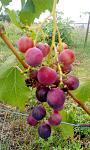     
: IMG_20170808_082445.jpg
: 69
:	120.3 
ID:	12212534