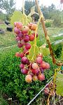     
: IMG_20170808_082616.jpg
: 37
:	143.3 
ID:	12212535