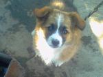     
: PICT0066.jpg
: 178
:	71.0 
ID:	1221586