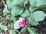     
: IMG_0726.jpg
: 30
:	166.2 
ID:	12216915