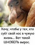     
: 20770153_184323052109027_6745330727681425490_n.jpg
: 8
:	57.0 
ID:	12217172