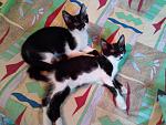     
: IMG_20170810_185048.jpg
: 13
:	156.8 
ID:	12218130