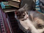     
: IMG_20170810_184827.jpg
: 11
:	137.0 
ID:	12218131