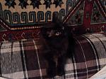     
: IMG_20170810_185706.jpg
: 9
:	169.4 
ID:	12218134