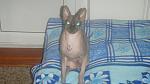     
: DSC00151.jpg
: 35
:	88.3 
ID:	1222074