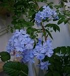     
: 0_4a0ed_3a43d2c0_L.jpg
: 6
:	65.4 
ID:	12222186