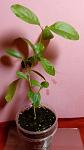     
: IMG_20170809_235134.jpg
: 6
:	53.4 
ID:	12222208