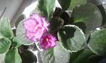     
: 20170812_134025.jpg
: 10
:	142.0 
ID:	12222403