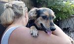     
: IMG_20170813_185204.jpg
: 23
:	101.4 
ID:	12224299