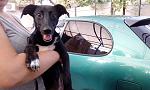     
: IMG_20170813_185059.jpg
: 11
:	112.4 
ID:	12224306