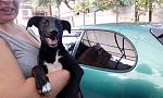     
: IMG_20170813_185103.jpg
: 15
:	103.0 
ID:	12224307