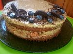     
: P70813-165648-01.jpg
: 57
:	91.9 
ID:	12224953