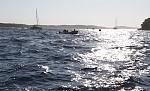     
:   2017-08-12  19.30.01.jpg
: 33
:	110.9 
ID:	12225177