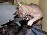    
: P6140348.jpg
: 31
:	102.8 
ID:	1222611