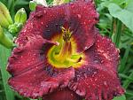     
: IMG_3481.jpg
: 22
:	157.1 
ID:	12226212