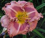     
: IMG_0334.jpg
: 20
:	125.8 
ID:	12226228