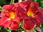     
: image009.jpg
: 21
:	157.4 
ID:	12226232