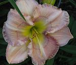     
: IMG_0330.jpg
: 23
:	96.9 
ID:	12226238