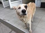     
: IMG_1280.jpg
: 22
:	102.0 
ID:	12231583