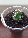     
: 2017-08-20 10.01.48___.jpg
: 11
:	132.3 
ID:	12235091