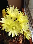     
: 2017-07-24 16.13.37.jpg
: 10
:	91.2 
ID:	12235092