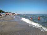     
: IMG_20170820_155922.jpg
: 31
:	157.4 
ID:	12235865