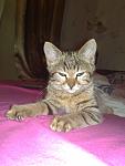     
: 130620101643.jpg
: 58
:	82.9 
ID:	1224321