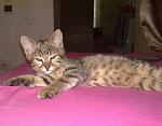     
: 130620101644.jpg
: 53
:	125.7 
ID:	1224329