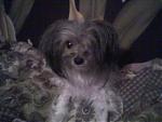     
: Photo-0157.jpg
: 13
:	40.6 
ID:	122433