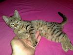     
: 130620101648.jpg
: 58
:	118.3 
ID:	1224331