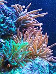     
: 20170818_173550.jpg
: 102
:	160.8 
ID:	12245858