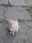     
: 20170816_191518.jpg
: 13
:	126.3 
ID:	12246542