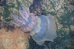     
: 5NOCcinYGks.jpg
: 41
:	192.2 
ID:	12247254