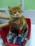     
: IMG_20170821_213950.jpg
: 10
:	57.6 
ID:	12247663
