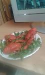     
: 0-02-05-b0dd3e984e4d1cccd540aa6b3fbdb050b82e1ffe04041592c38619eb1f70929b_full.jpg
: 14
:	56.4 
ID:	12248978