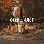     
: Осень идет.jpg
: 6
:	36.5 
ID:	12253063