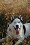     
: IMG_6920.JPG
: 14
:	127.8 
ID:	12253771