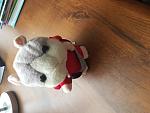     
: 20170830_151252.jpg
: 15
:	106.6 
ID:	12255264