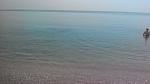     
: P_20170901_111541.jpg
: 36
:	233.0 
ID:	12259087