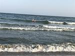     
: IMG_3919.jpg
: 28
:	186.9 
ID:	12263460