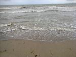     
: IMG_20170904_123531.jpg
: 31
:	199.6 
ID:	12265334