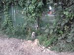     
: IMG_20170901_182103.jpg
: 5
:	191.3 
ID:	12266932