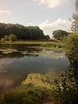     
: IMG_20170828_162601.jpg
: 29
:	98.6 
ID:	12266942