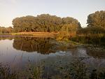     
: IMG_20170829_070813.jpg
: 93
:	148.4 
ID:	12266944