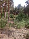     
: IMG_20170829_113338.jpg
: 29
:	208.7 
ID:	12266947