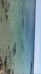     
: IMG_3977.jpg
: 113
:	44.9 
ID:	12271796